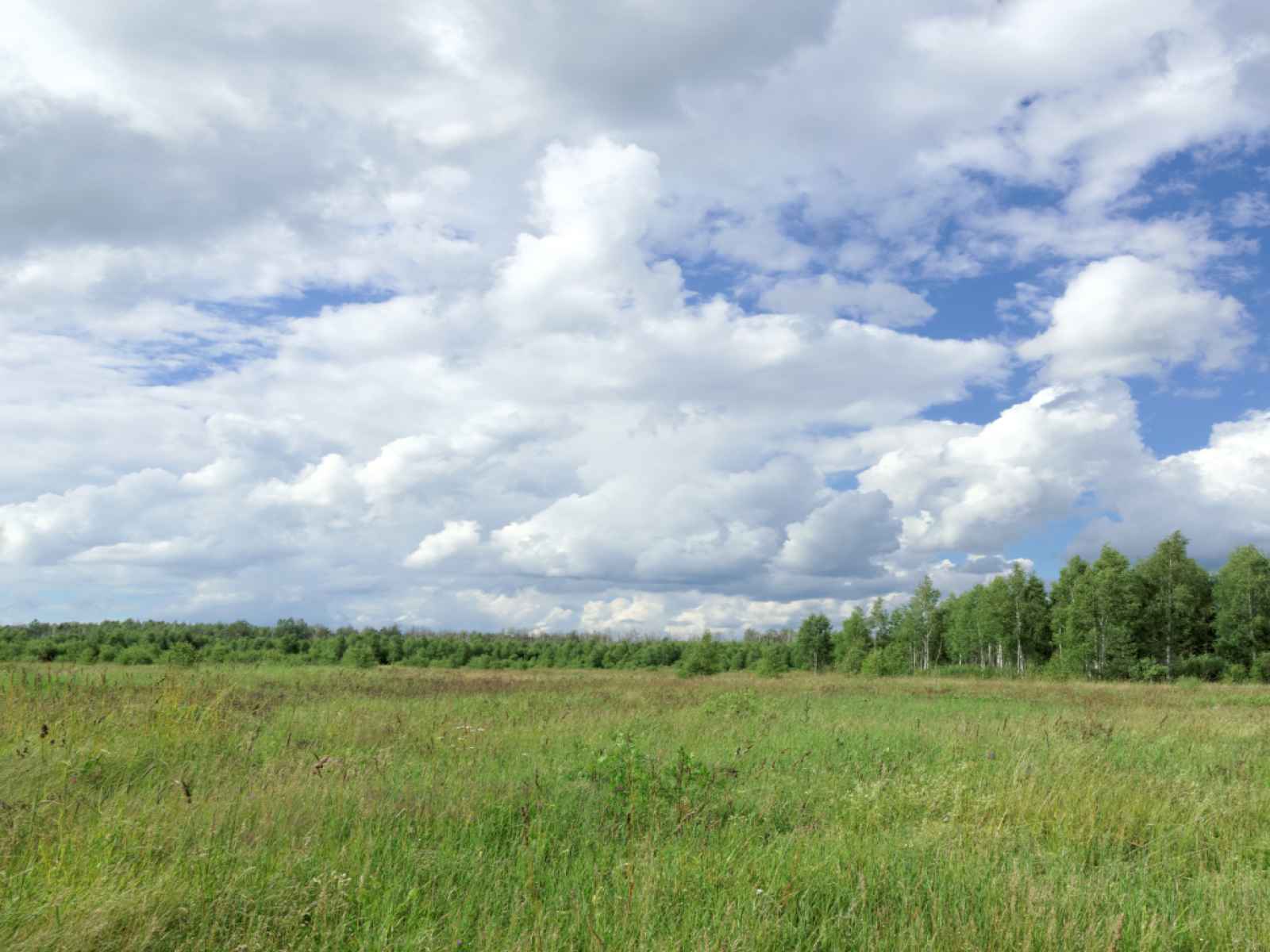 Участок №273, 9 соток в КП Bayside Residence (Бейсайд Резиденс), Можайский район