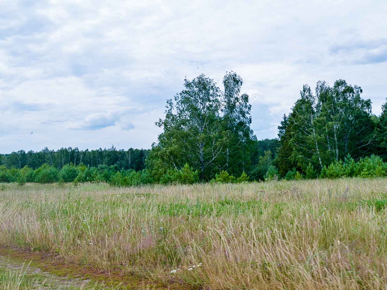 Участок №280, 9 соток в КП Bayside Residence (Бейсайд Резиденс), Можайский район