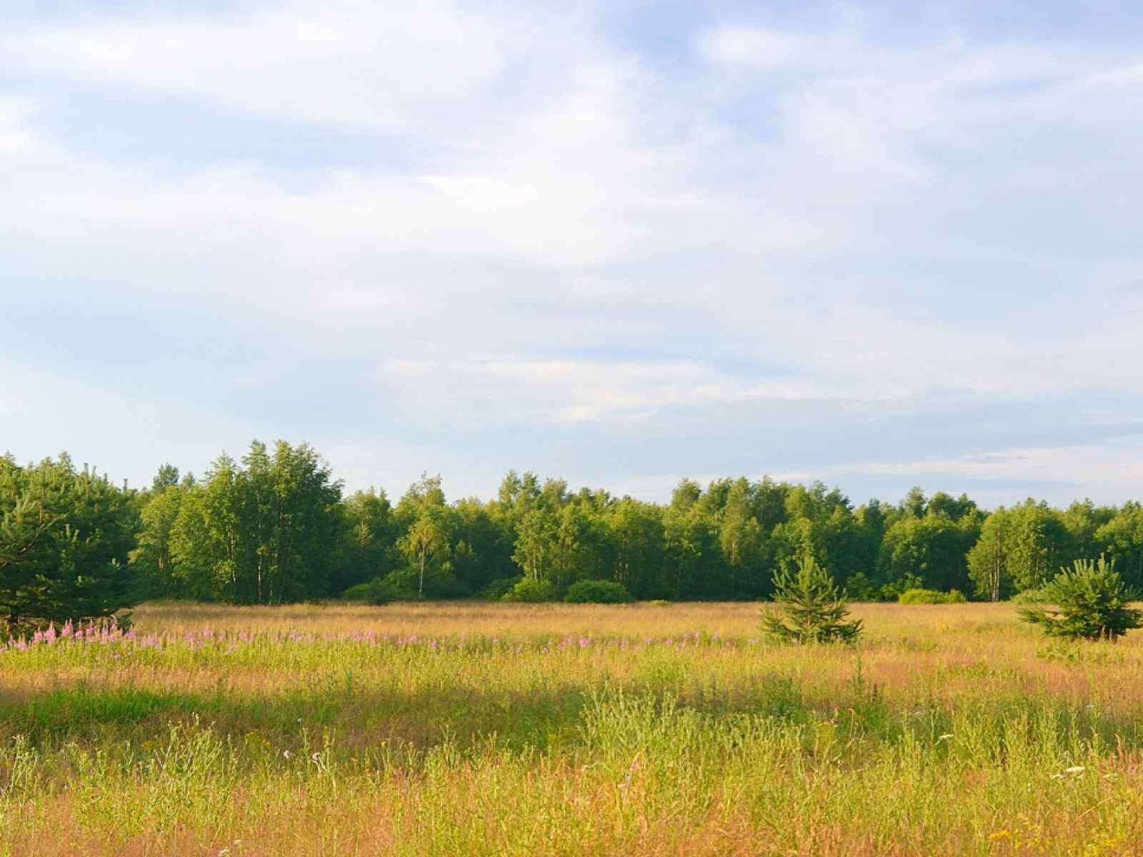 Участок №308, 10 соток в КП Bayside Residence (Бейсайд Резиденс), Можайский район